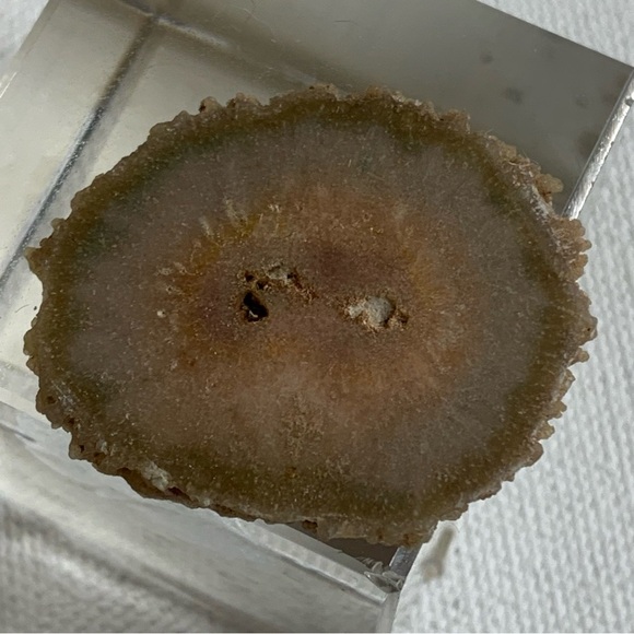 Stalactite Slice Polished Crystal Display Specimen Las Torres Mine Uruguay 1.4" - Picture 7 of 10